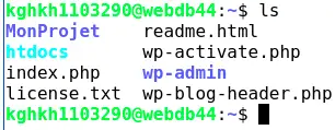 Comment utiliser GIT avec le terminal Web sur mon hébergement mutualisé LWS ?