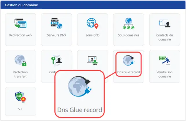 Comment gérer les DNS Glue Record ?                